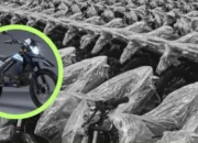 Sudah Ribuan Unit Motor Dibeli untuk MBG, Pemerintah Tiba-Tiba Stop Anggaran