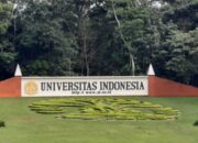 Kasus Kekerasan Seksual FH UI Disanksi Skorsing, Korban Akan Adukan UI ke Kemendiktisaintek