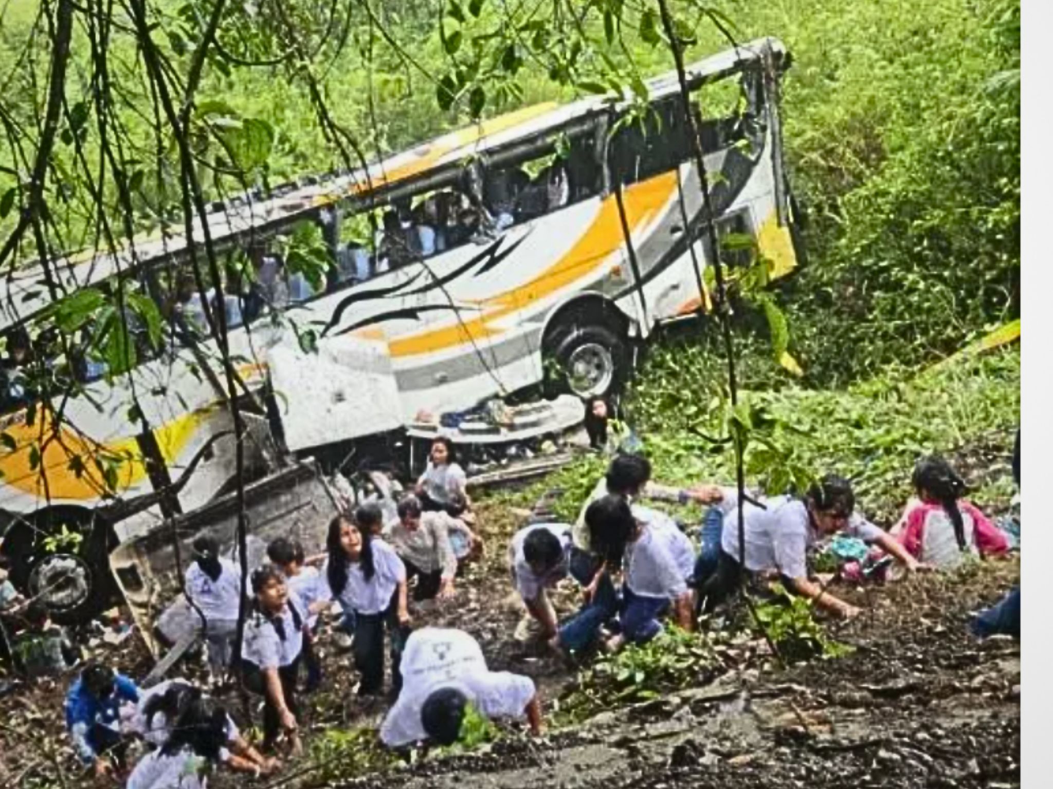 Bus Pariwisata Masuk Jurang Di Toba