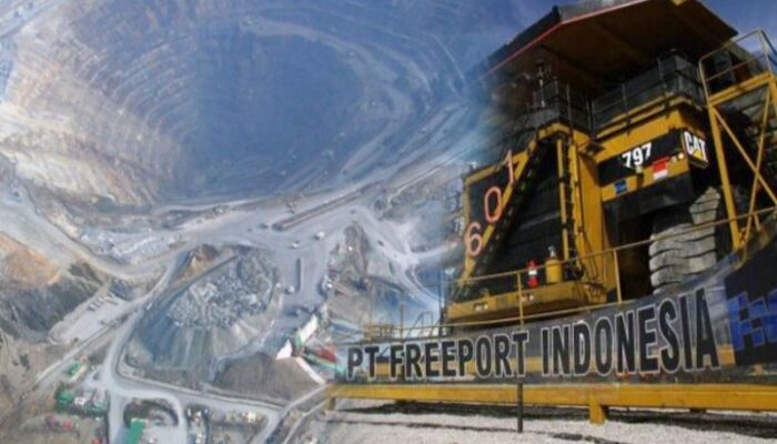 Setoran Freeport ke Negara Tembus Rp75 Triliun hingga April 2026