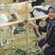 Kementan Edukasi Pelaksanaan Kurban Aman, Higienis dan Halal