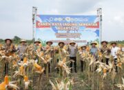 Panen Raya Jagung di Boyolali, Polri Dinilai Berhasil Dukung Ketahanan Pangan