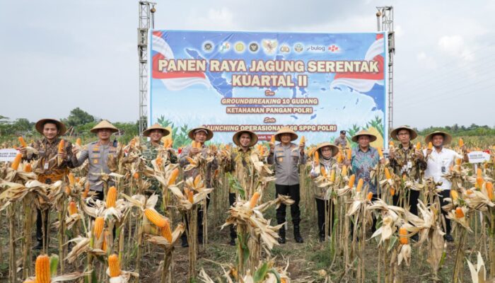 Panen Raya Jagung di Boyolali, Polri Dinilai Berhasil Dukung Ketahanan Pangan