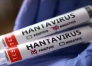 Kemenkes RI Perkuat Kesiapsiagaan Hadapi Ancaman Hantavirus