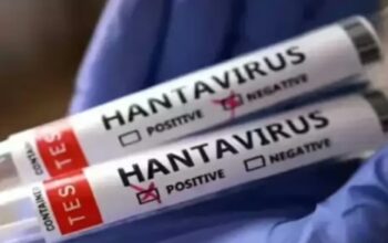 Ilustrasi Hantavirus