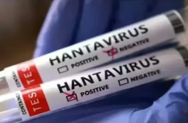 Ilustrasi Hantavirus