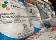 Harga Pupuk Dunia Naik 40%, Presiden Prabowo Turunkan Pupuk Subsidi 20%