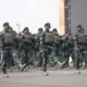 Tni Ad 147135266