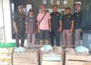 Penyelundupan Burung Langka Digagalkan di Tanjung Perak, Diduga Libatkan Oknum TNI