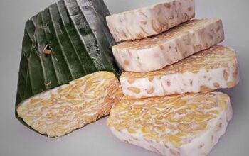 Perajin Tempe Kurangi Ukuran Demi Pertahankan Harga