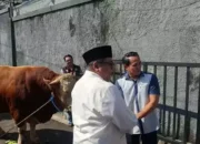 Rano Karno Serahkan Sapi Kurban 1 Ton untuk Warga Kampung Pintar Gandaria Utara