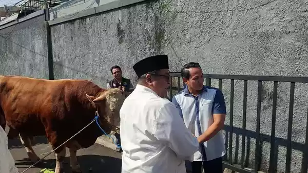 Warga Gandaria Dapat Sapi 1 Ton Dari Rano Karno 1779863171578 169