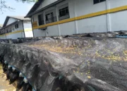 Ferry Koto Desak Kejagung Bongkar Aktor Besar di Balik Skandal Motor Listrik BGN