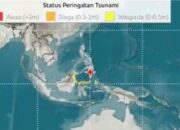 Gempa M7,7 Guncang Wilayah Gorontalo, Warga Berhamburan Keluar Gedung!