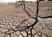 Menghadapi El Niño, Pemerintah Intensifkan Hujan Buatan Isi Waduk