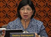Destry Damayanti