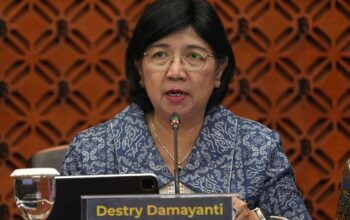 Destry Damayanti