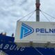 Pelni
