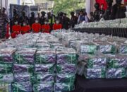 BNN Bongkar Penyelundupan 3,37 Ton Ganja Asal Thailand Masuk Lewat Jalur Impor Resmi