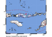 Info Gempa Mag: 4.6 – Pusat gempa berada di laut 35 km utara Mbay Nagekeo