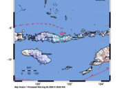 Info Gempa Mag: 5.0 – Pusat gempa berada di laut 42 km timur laut Mbay, Nagekeo