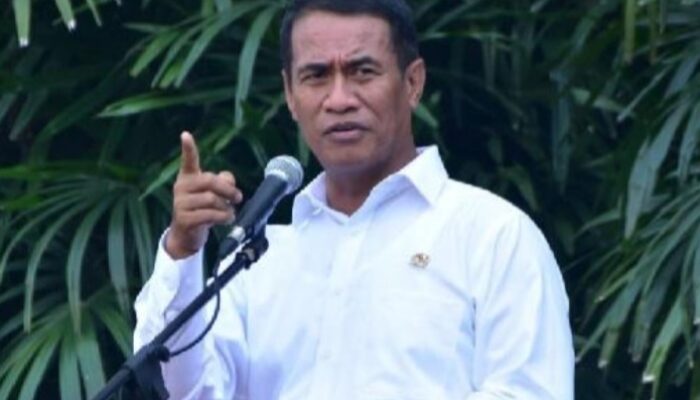 Mentan Siapkan 2 Juta Hektare Lahan Kejar Produksi Etanol