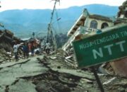 Korban Meninggal Gempa Bumi NTT Capai 111 Jiwa