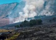 Cegah Risiko Tinggi, BNPB Perkuat Penanganan Karhutla