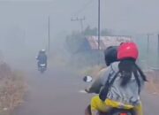 Kabut Asap Karhutla Picu Lonjakan ISPA di Kalteng