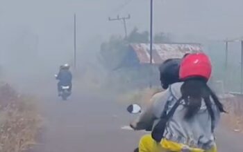 Palembang Dikepung Kabut Asap Karhutla, Jarak Pandang Anjlok hingga 400 Meter
