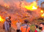 Karhutla di Sukabumi, 18 Hektare Lahan Perhutani Terbakar