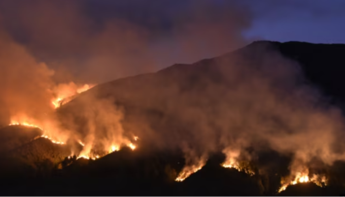 Kawasan Wisata Bromo Ditutup, Karhutla Meluas hingga 742,70 Hektare