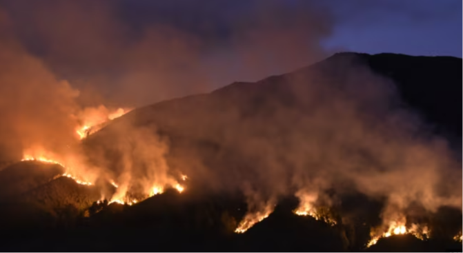 Kebakaran Wisata Gunung Bromo