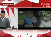Heboh Upah Kupas Bawang Rp700 Ribu, Video Susanah Justru Sebut Dibayar Rp700 per Kilogram Jadi Buruh Jahit Kain