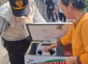Unik! Lomba 17 Agustus di Gandaria Utara Bikin Warga Adu Cepat Pilah Sampah, Hadiah Utamanya Sepeda