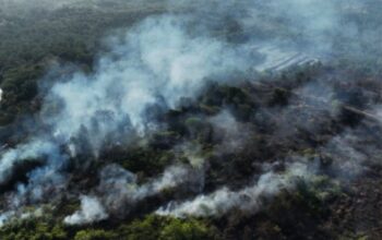 Kebakaran Hutan Karhutla