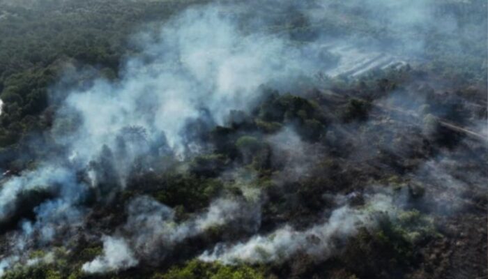 55 Orang Jadi Tersangka Karhutla, Total Lahan Terdampak Terbakar Tembus 3 Juta Hektar