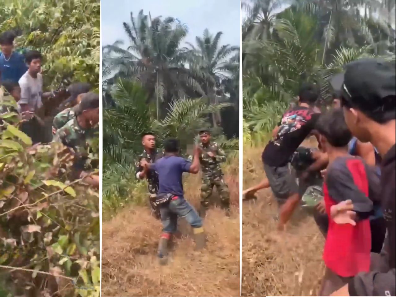 Bentrok Orang Rimba Dan Tni Di Jambi