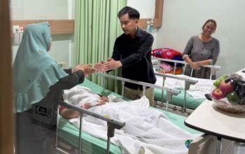 Atase KBRI Singapura-Canberra Tak Temukan Jejak Pendidikan Gibran