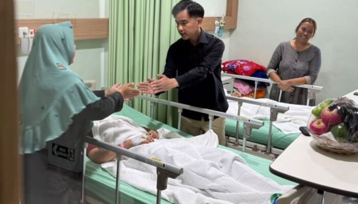 Atase KBRI Singapura-Canberra Tak Temukan Jejak Pendidikan Gibran