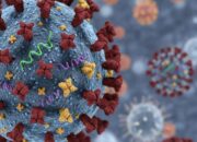 11 Kasus “Super Flu” Terdeteksi di Jakarta, Warga Tak Perlu Panik!