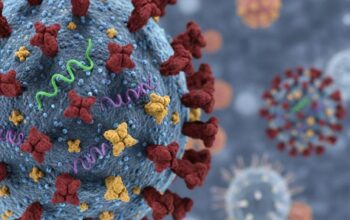 Ilustrasi Superflu Influenza A