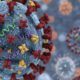 Ilustrasi Superflu Influenza A