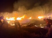 Karhutla Bromo Meluas ke Bukit Teletubbies, 4 Jalur Wisata Ditutup