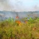 Kebakaran Hutan Dan Gambut Di Kalimantan