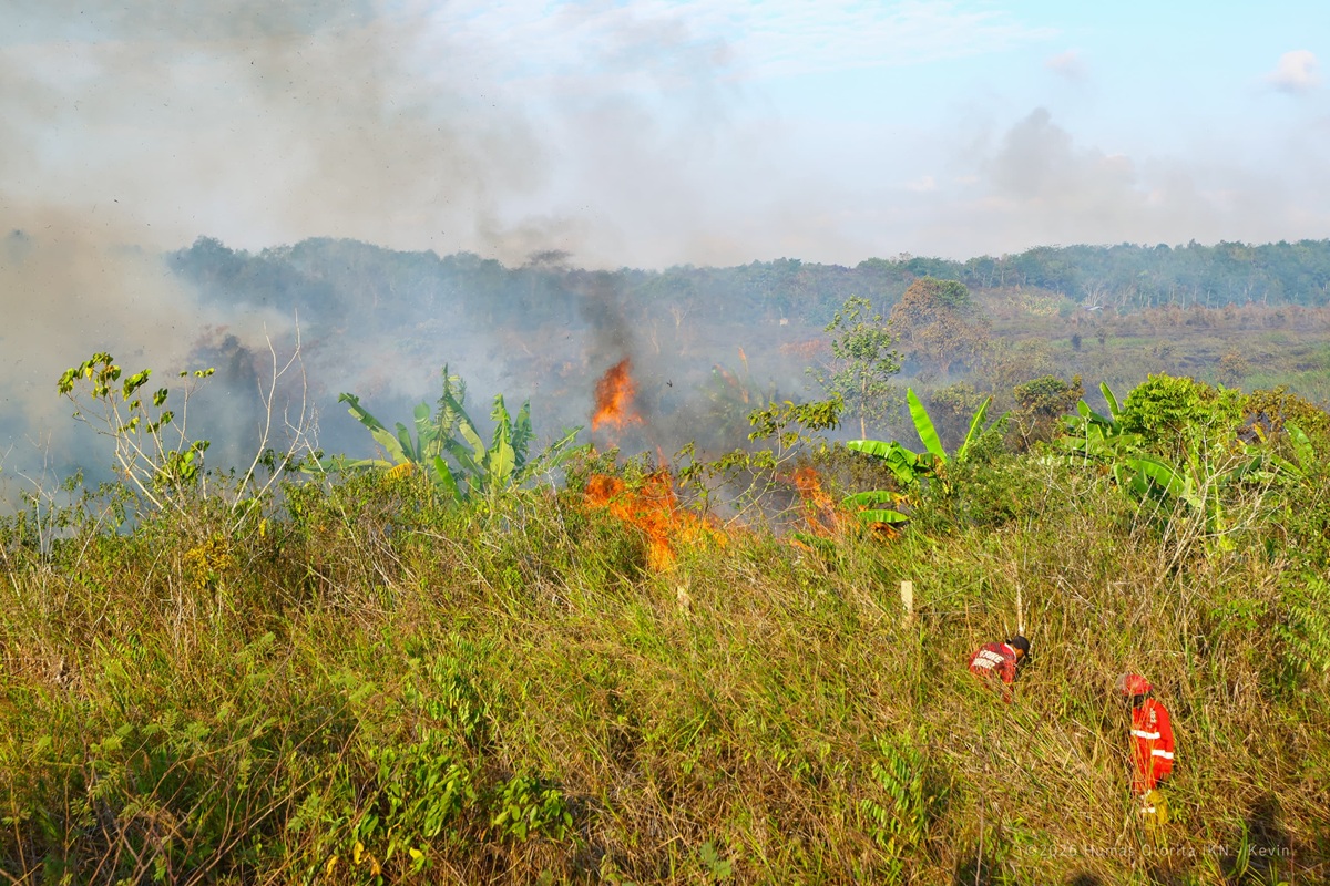 Kebakaran Hutan Dan Gambut Di Kalimantan
