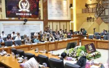 Komisi Ix Dpr Ri