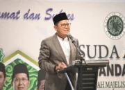 Muhammad Cholil Nafis