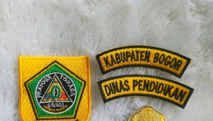 Abu Vulkanik Gunung Anak Krakatau, Disdik Bogor Terapkan PJJ untuk PAUD hingga SMP