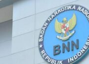BNN Minta Tambahan Anggaran Rp5,05 Triliun untuk Perangi Narkoba pada 2027